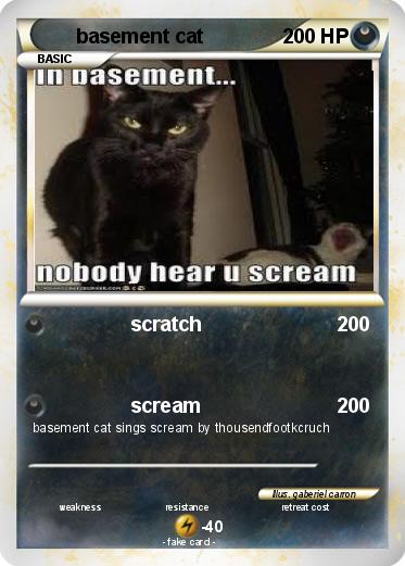 Pokemon basement cat