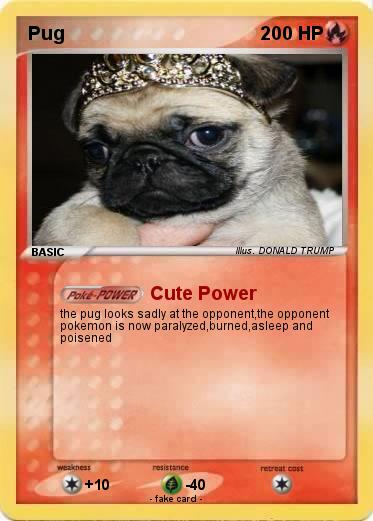 Pokemon Pug