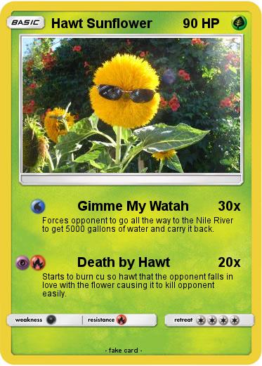 Pokemon Hawt Sunflower