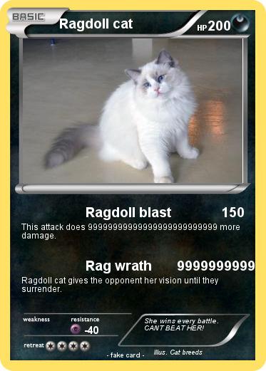 Pokemon Ragdoll cat