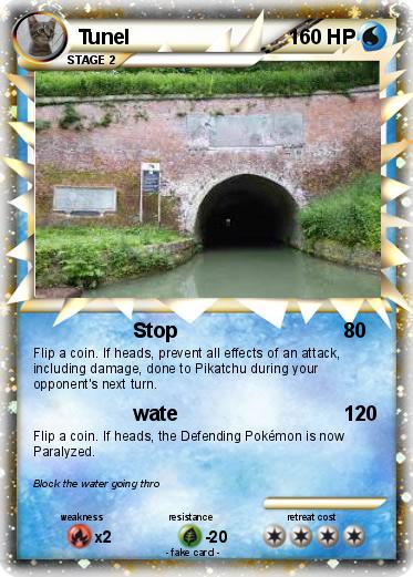 Pokemon Tunel