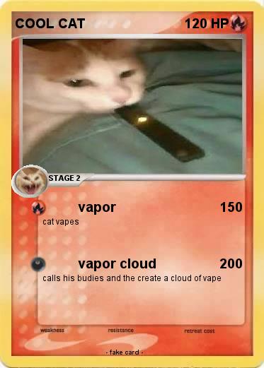 Pokemon COOL CAT