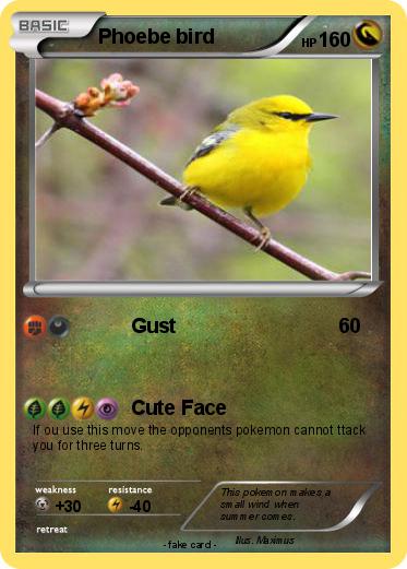 Pokemon Phoebe bird