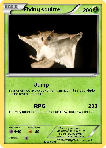 Pokemon Flying squirrel