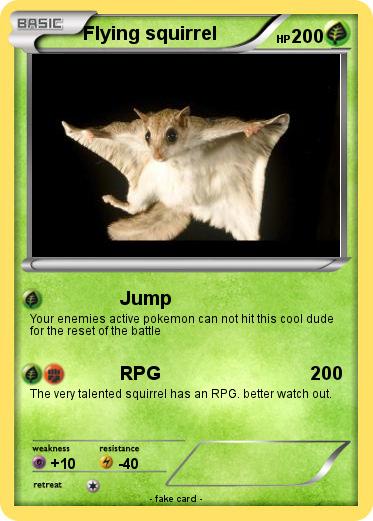 Pokemon Flying squirrel