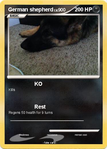 Pokemon German shepherd