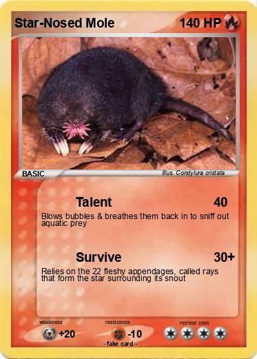 Pokemon Star-Nosed Mole