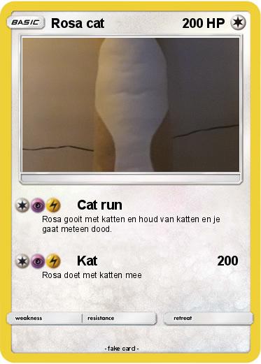 Pokemon Rosa cat