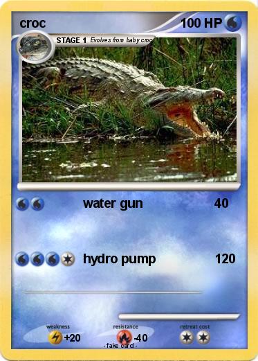 Pokemon croc