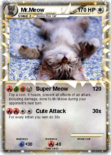 Pokemon Mr.Meow