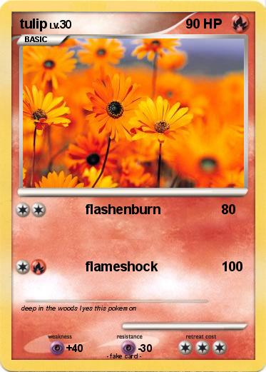 Pokemon tulip