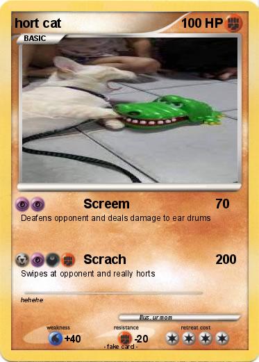 Pokemon hort cat