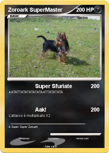 Pokemon Zoroark SuperMaster
