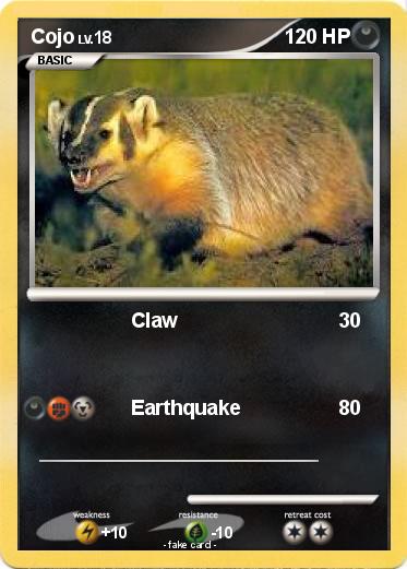 Pokemon Cojo