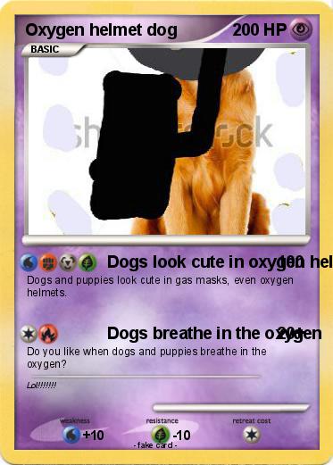 Pokemon Oxygen helmet dog