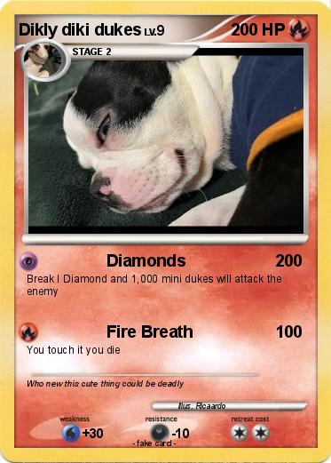 Pokemon Dikly diki dukes