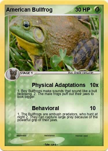 Pokemon American Bullfrog