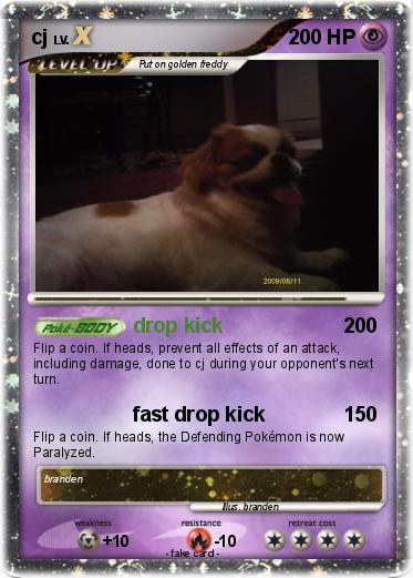 Pokemon cj
