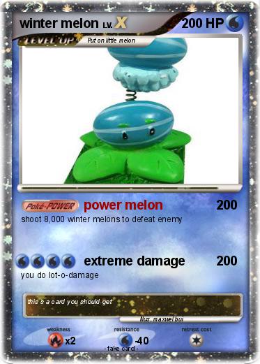 Pokemon winter melon