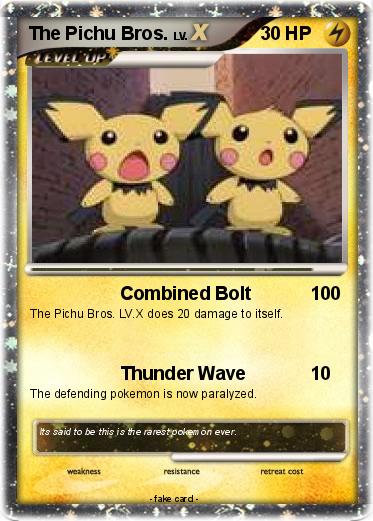 Pokemon The Pichu Bros.