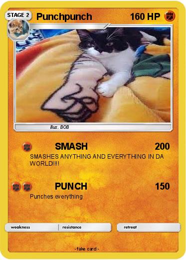 Pokemon Punchpunch