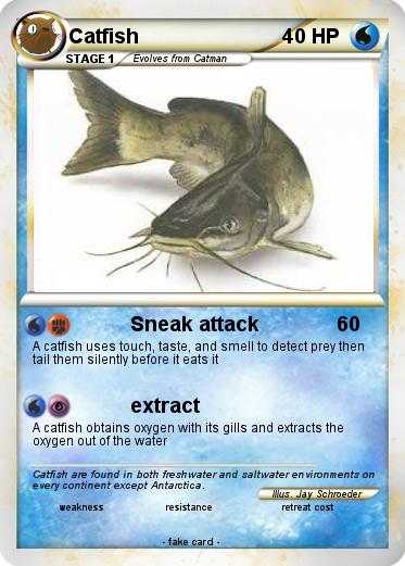 Pokemon Catfish