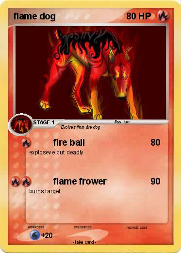 Pokemon flame dog
