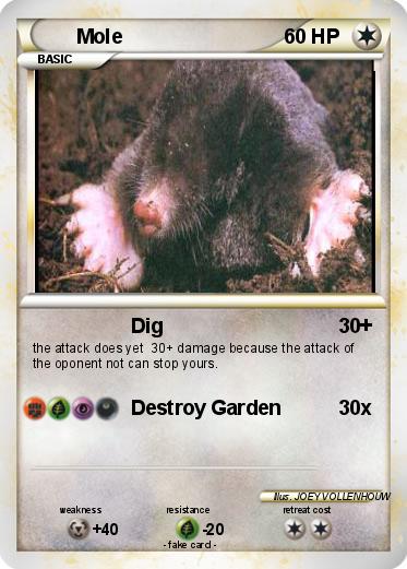 Pokemon Mole