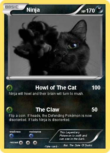 Pokemon Ninja