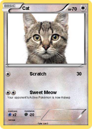Pokemon Cat