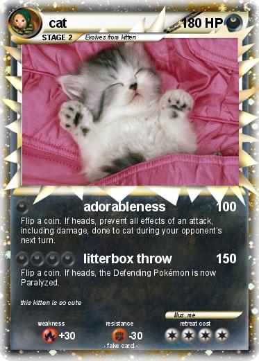 Pokemon cat