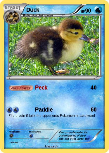Pokemon Duck