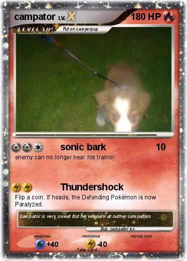 Pokemon campator