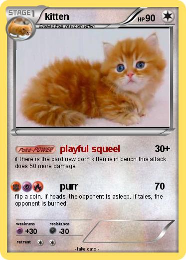Pokemon kitten