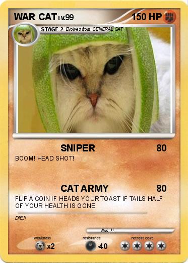 Pokemon WAR CAT