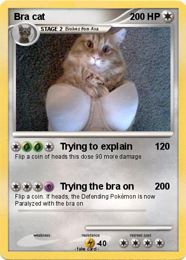 Pokemon Bra cat
