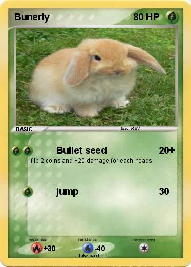 Pokemon Bunerly