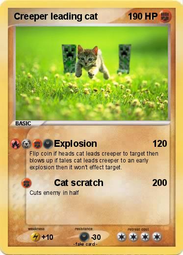 Pokemon Creeper leading cat