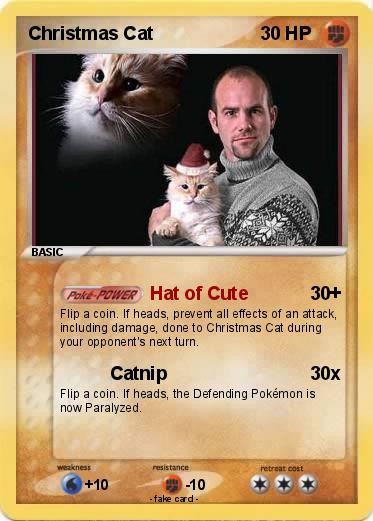 Pokemon Christmas Cat
