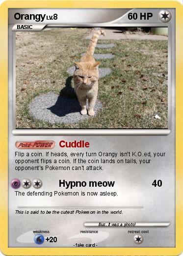 Pokemon Orangy