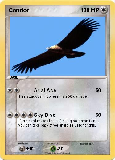 Pokemon Condor