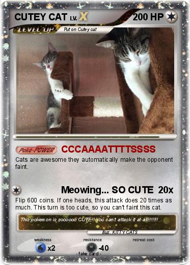 Pokemon CUTEY CAT