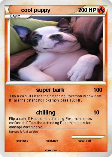 Pokemon cool puppy