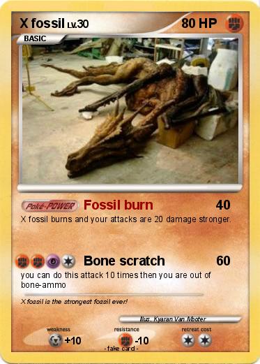 Pokemon X fossil
