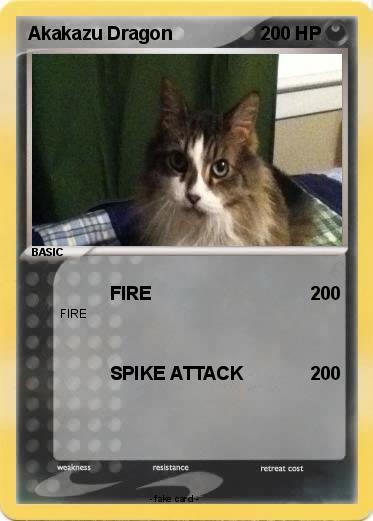 Pokemon Akakazu Dragon