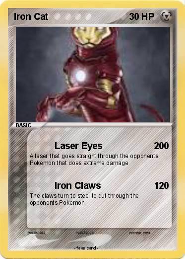 Pokemon Iron Cat