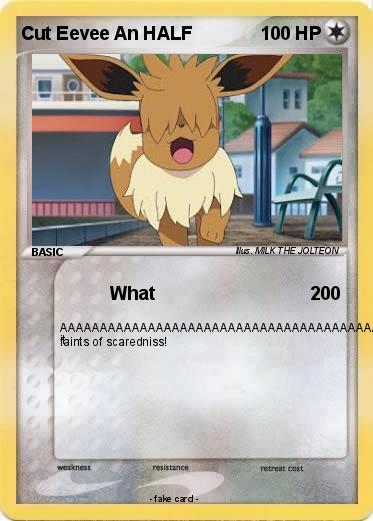 Pokemon Cut Eevee An HALF