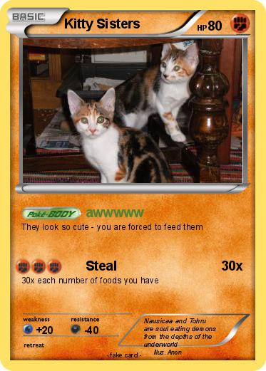 Pokemon Kitty Sisters