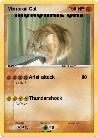 Pokemon Monorail Cat