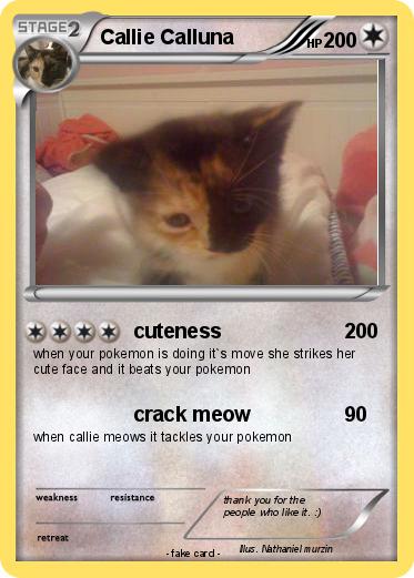 Pokemon Callie Calluna
